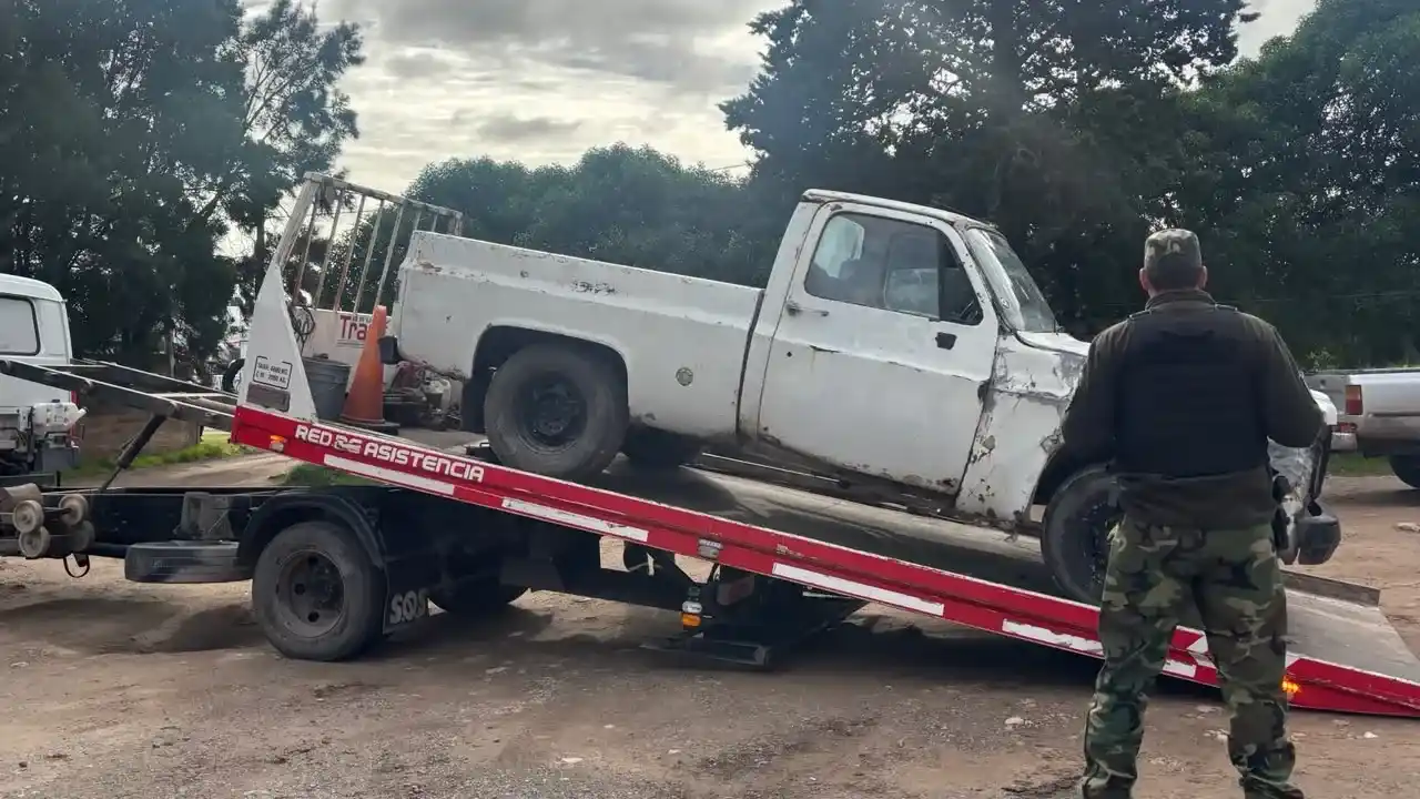 chevrolet  c10