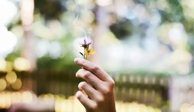 Predicciones y rituales para dar la bienvenida a la Primavera