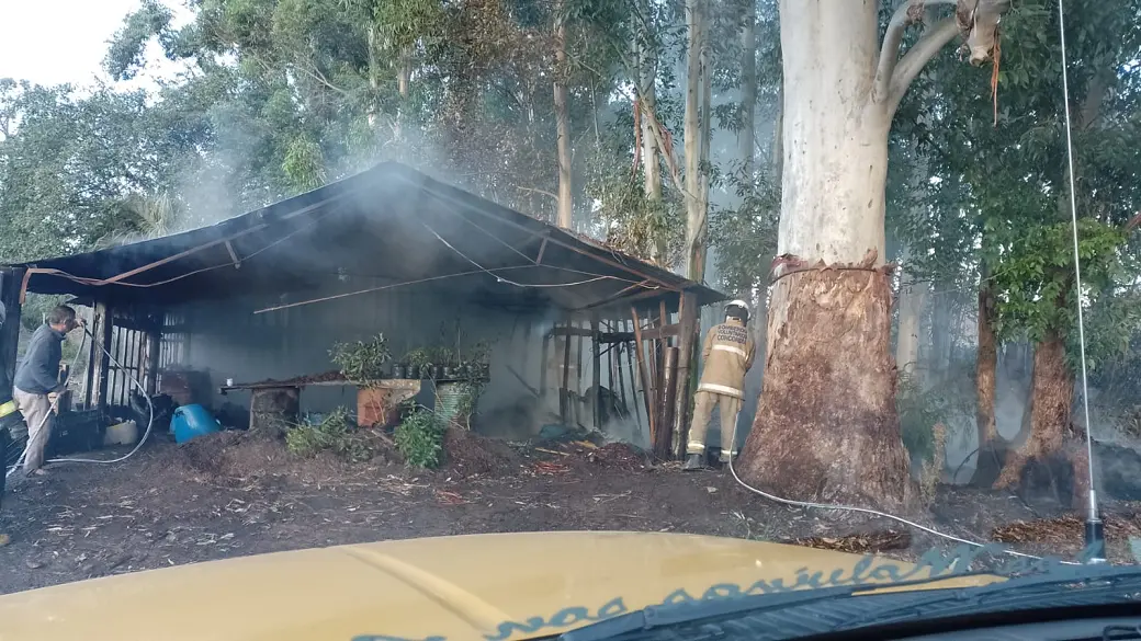 Incendio consumió el galpón de un vivero 