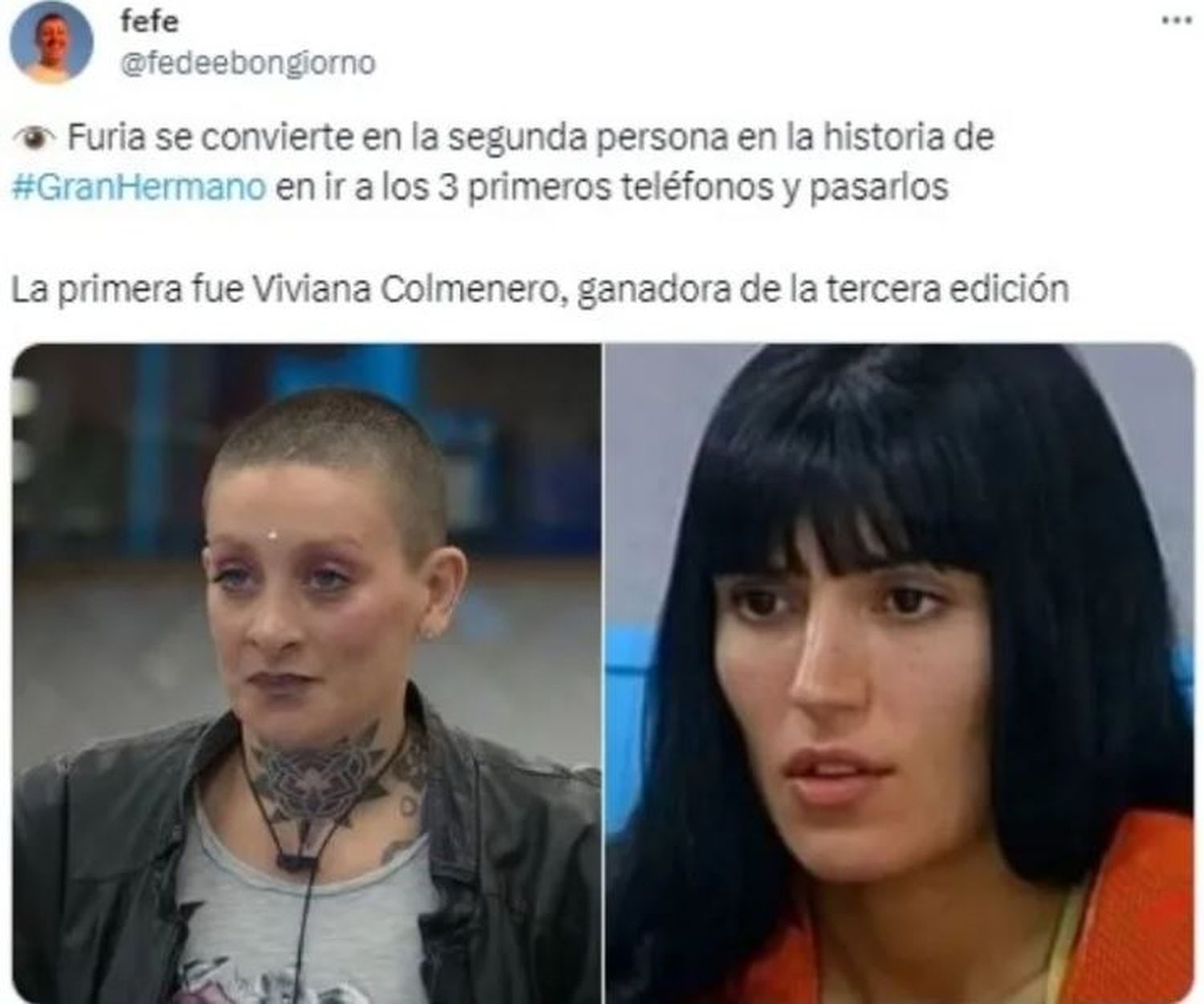 furia gran hermano - 1