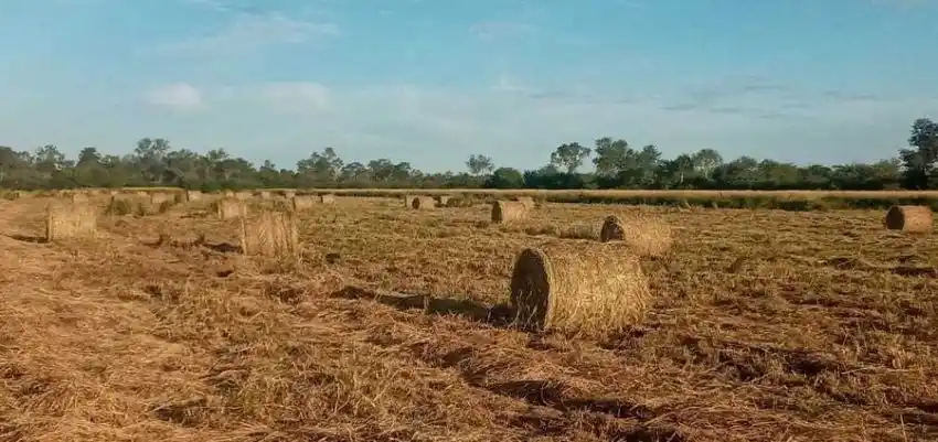 Experiencia productiva nuclea a diversos actores sociales de Juárez