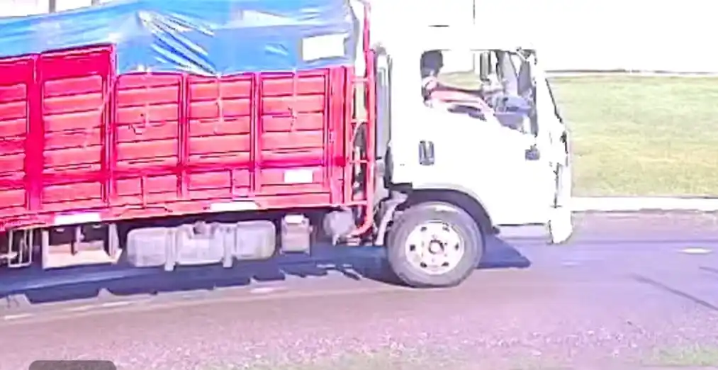 Denunció que un camión lo chocó y se dio a la fuga: busca testigos para identificarlo - 2