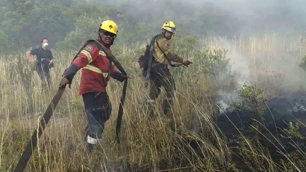 Brigadistas equipados con cascos amarillos y trajes protectores luchan contra un incendio forestal que genera humo denso en el Parque Nacional Los Alerces, Chubut.
