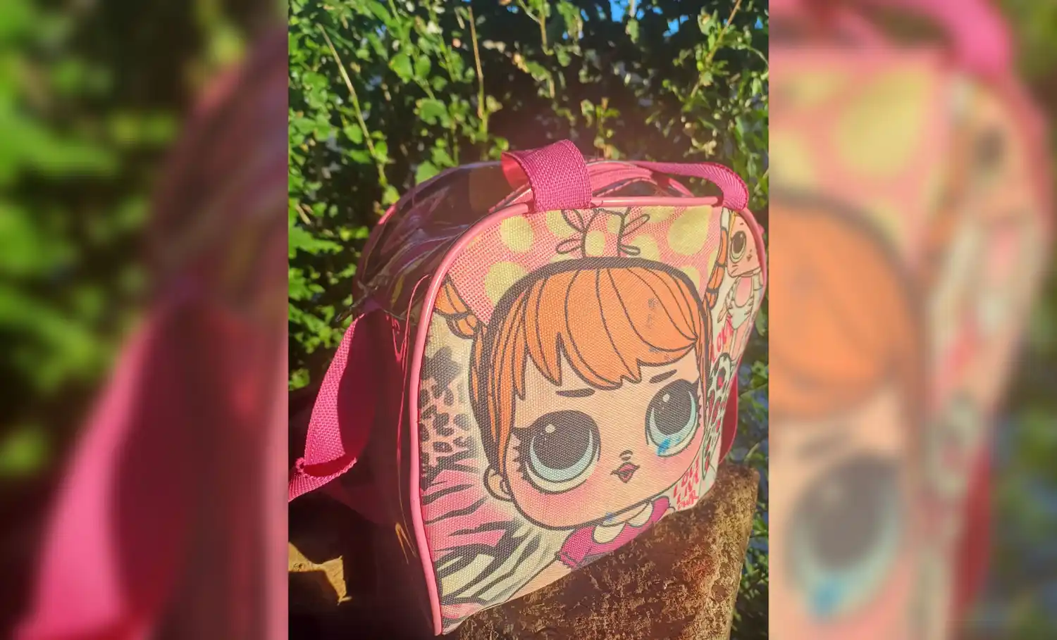Marisa encontró esta mochila en el Paseo Público II