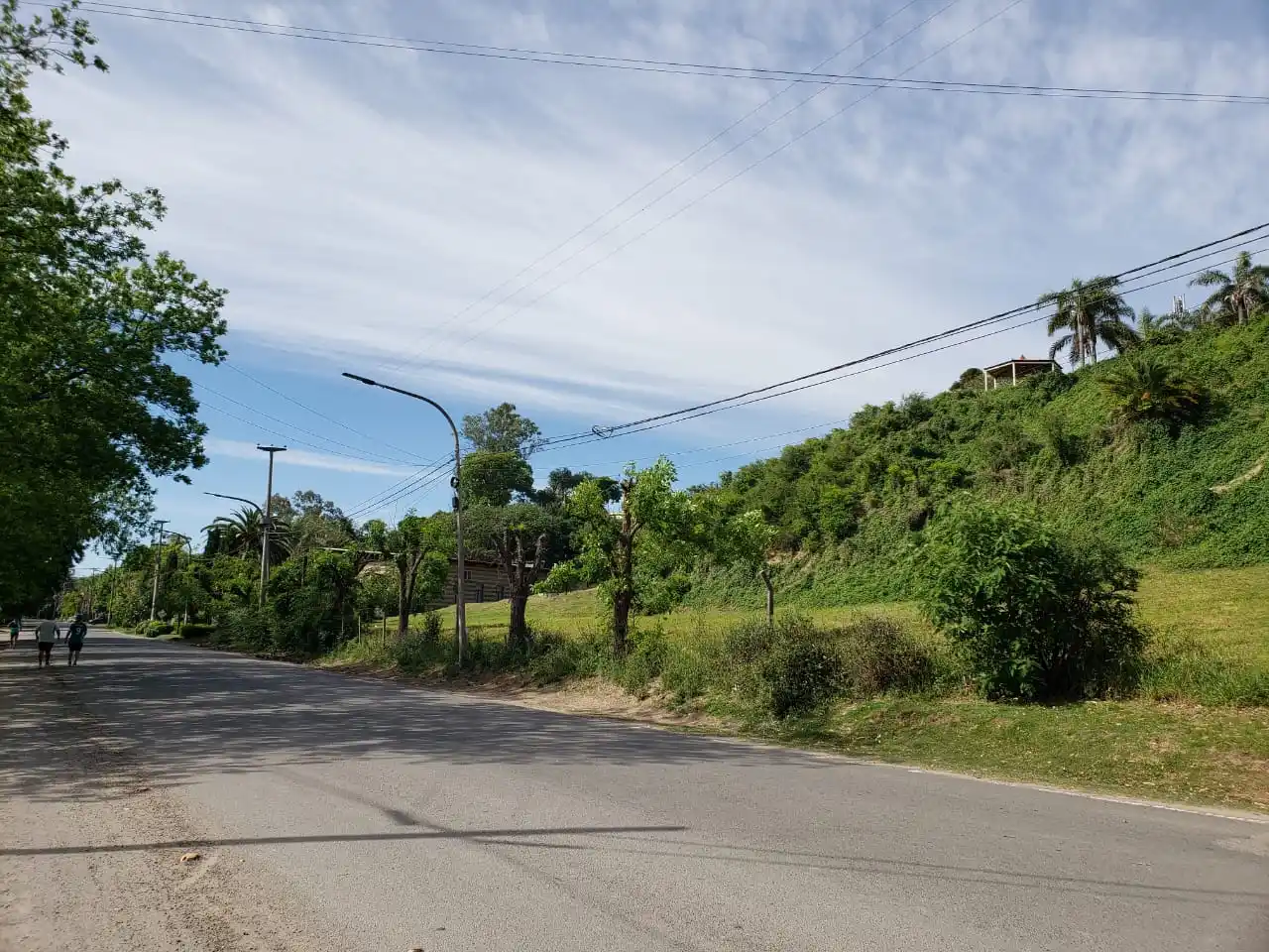 Quejas por el estado del arbolado público: "Basta Coopser de mutilar"