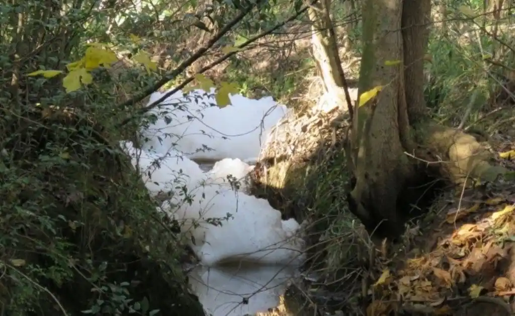 Rosario: vecinos de Saladillo denuncian afluencia de agua “verdosa, con espuma y olor nauseabundo”