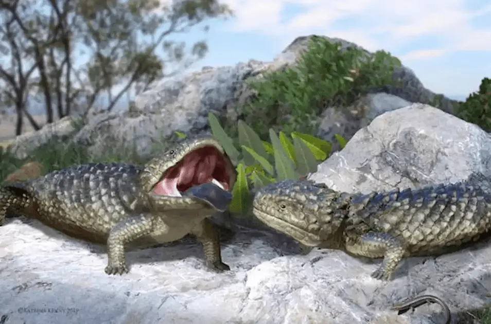Descubren al lagarto más grande del mundo