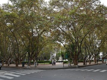 Desvíos en los recorridos de múltiples líneas de colectivos cerca de la plaza 25 de Mayo