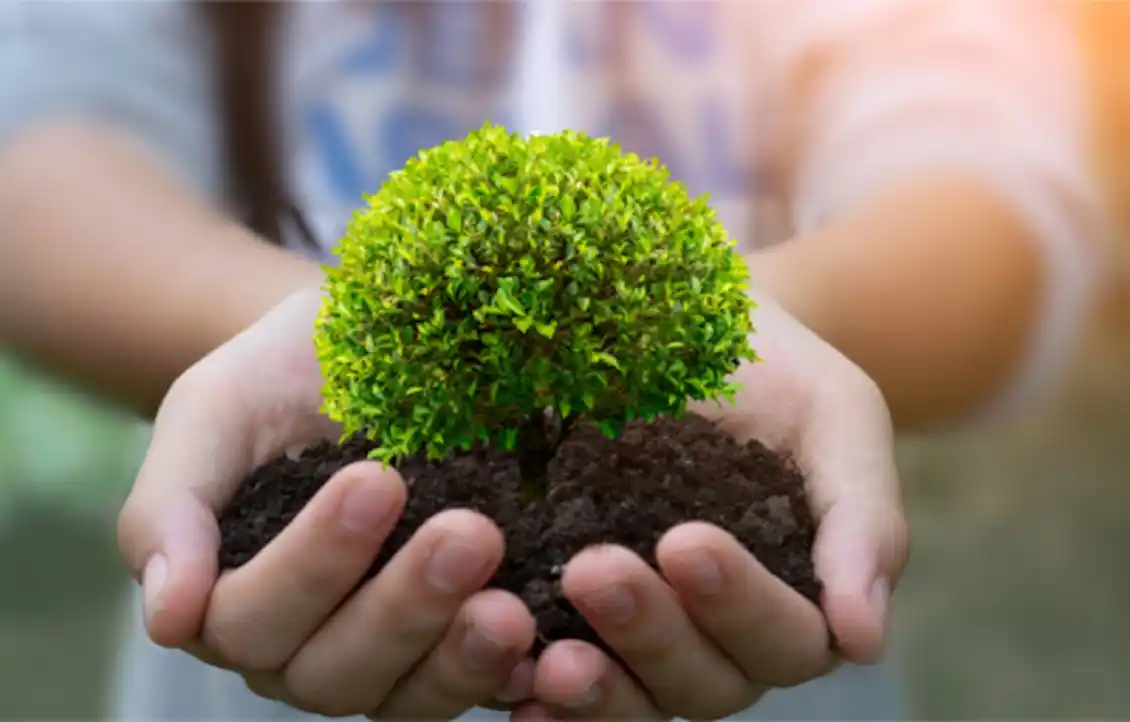 Expusieron avances en la creación del inventario de gases de efecto invernadero