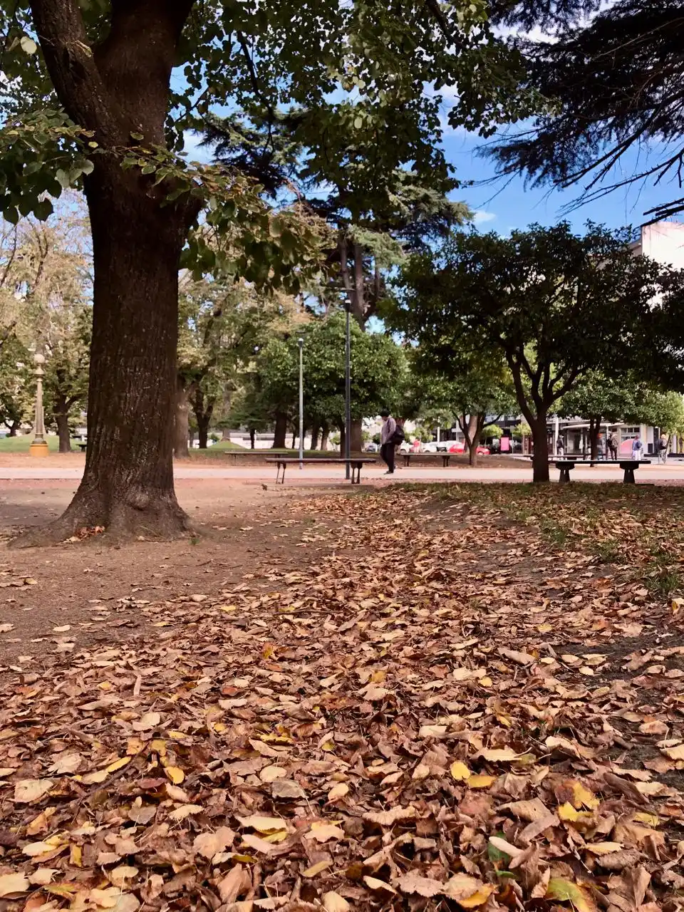 Es oficial: comenzó el otoño en Tandil.