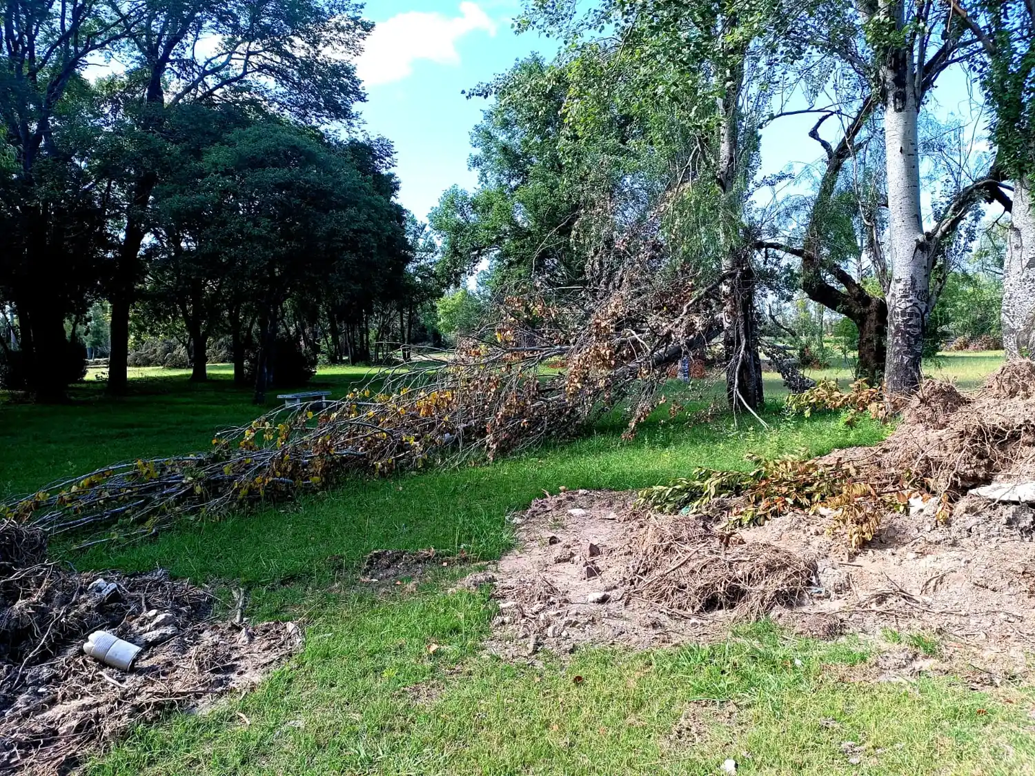 El municipio continúa realizando trabajos en el Parque Cabañas