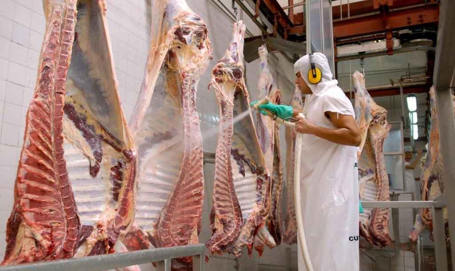 Mercados de carne vacuna: las exportaciones crecieron un 23 % en agosto