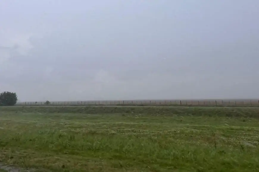 Lluvias irregulares y cambios de temperatura - 1