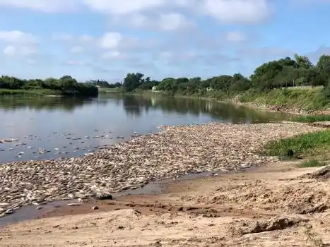 Alta contaminación del río Salado: cuestiones para ir pensando, según el informe del Conicet