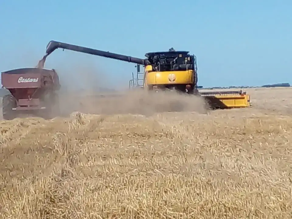 Comenzó la siembra de soja, en tanto avanza la cosecha de trigo