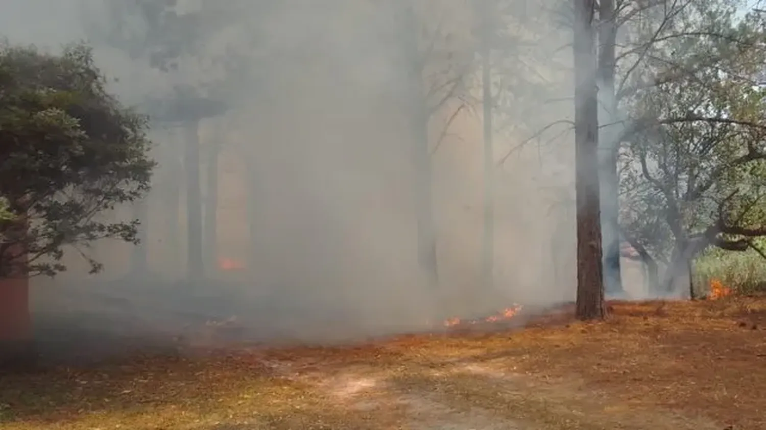 Sigue la intensa actividad de los Bomberos por los incendios