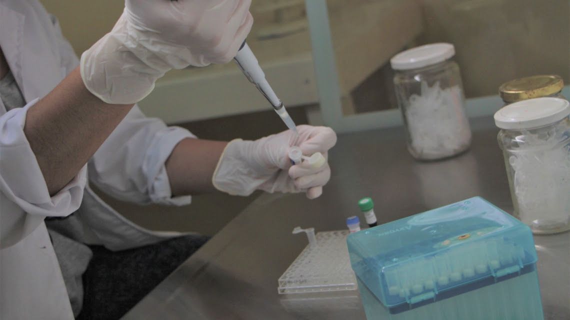 La provincia de Santa Fe avanza en la vigilancia epidemiológica de muestras de leche