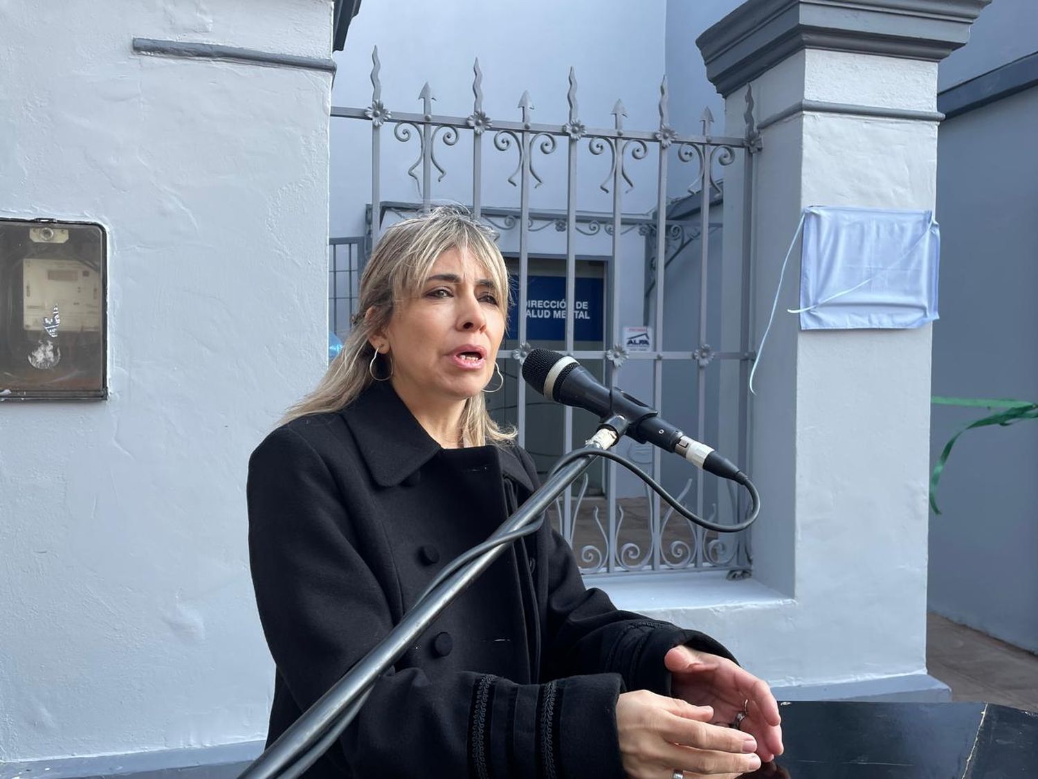 Salud Mental: Sorbara vio "con sorpresa y desagrado" la ausencia de profesionales en la inauguración