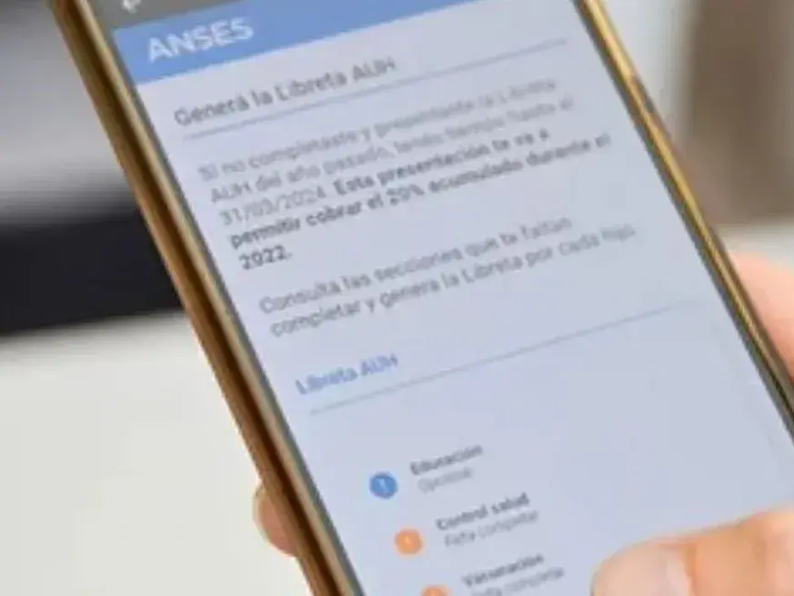 ANSES: quiénes cobran este martes 20 de octubre y cómo consultar la fecha de pago