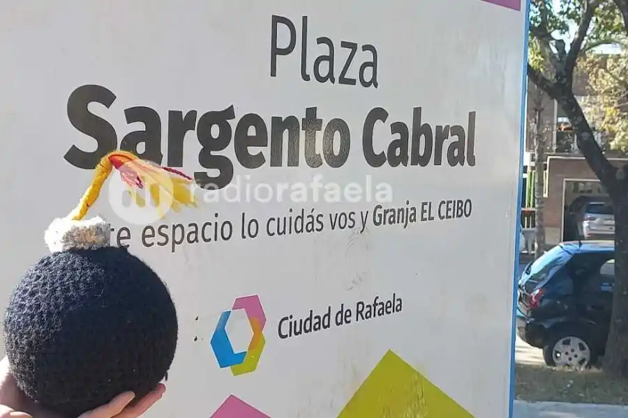 Para concientizar sobre el peligro de extinción de las abejas. La nueva intervención de Bomba de Lana