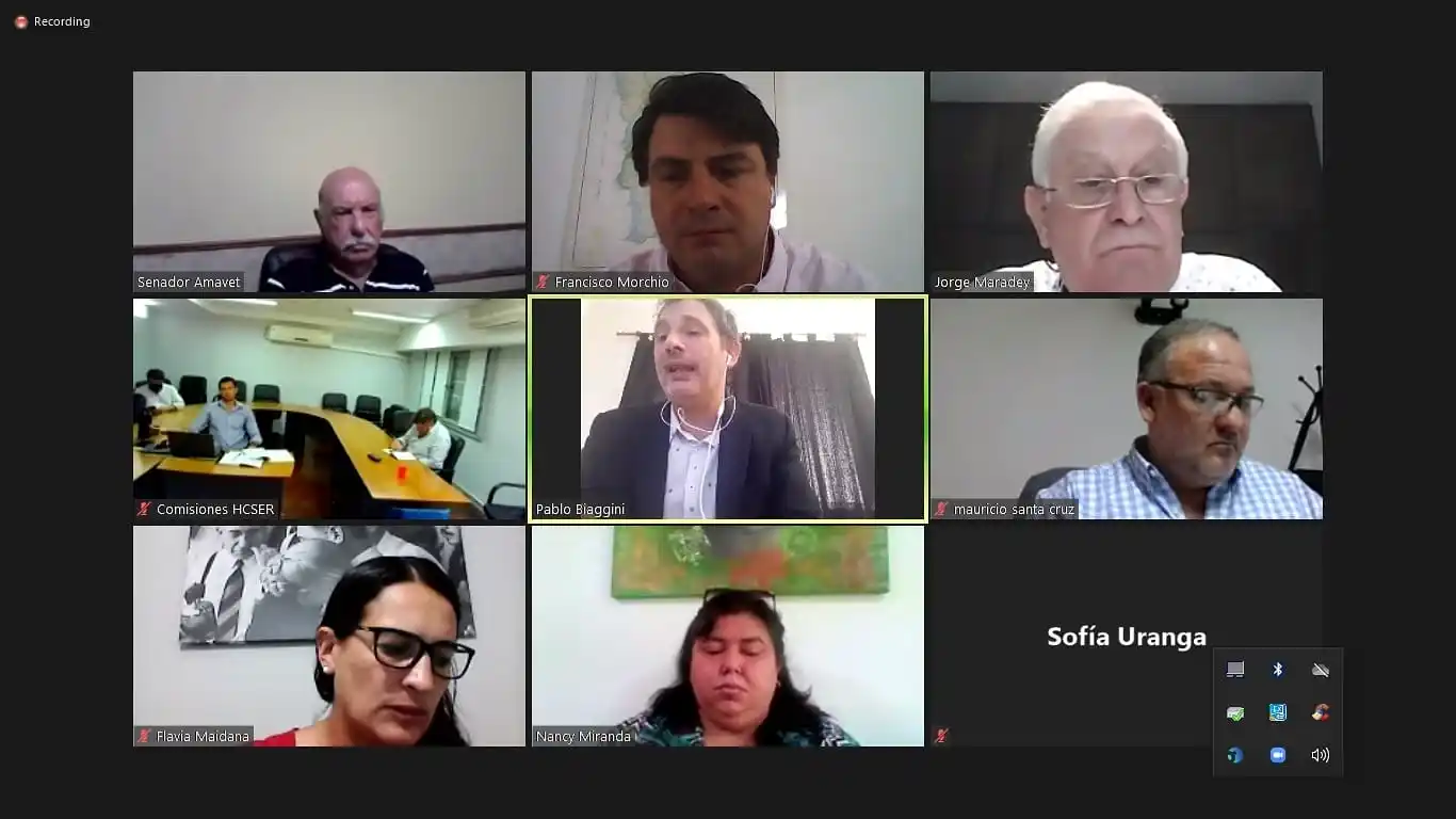 Senado: el miércoles se reunió la Comisión de Seguridad