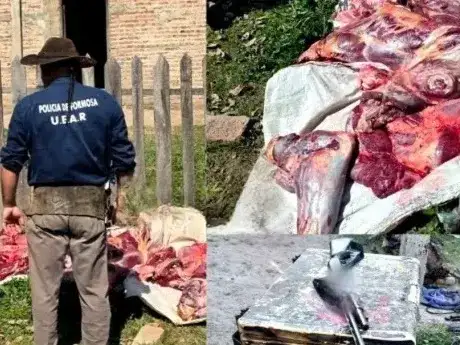 La Uear esclareció un caso de abigeato calificado y secuestró carne de reciente faena