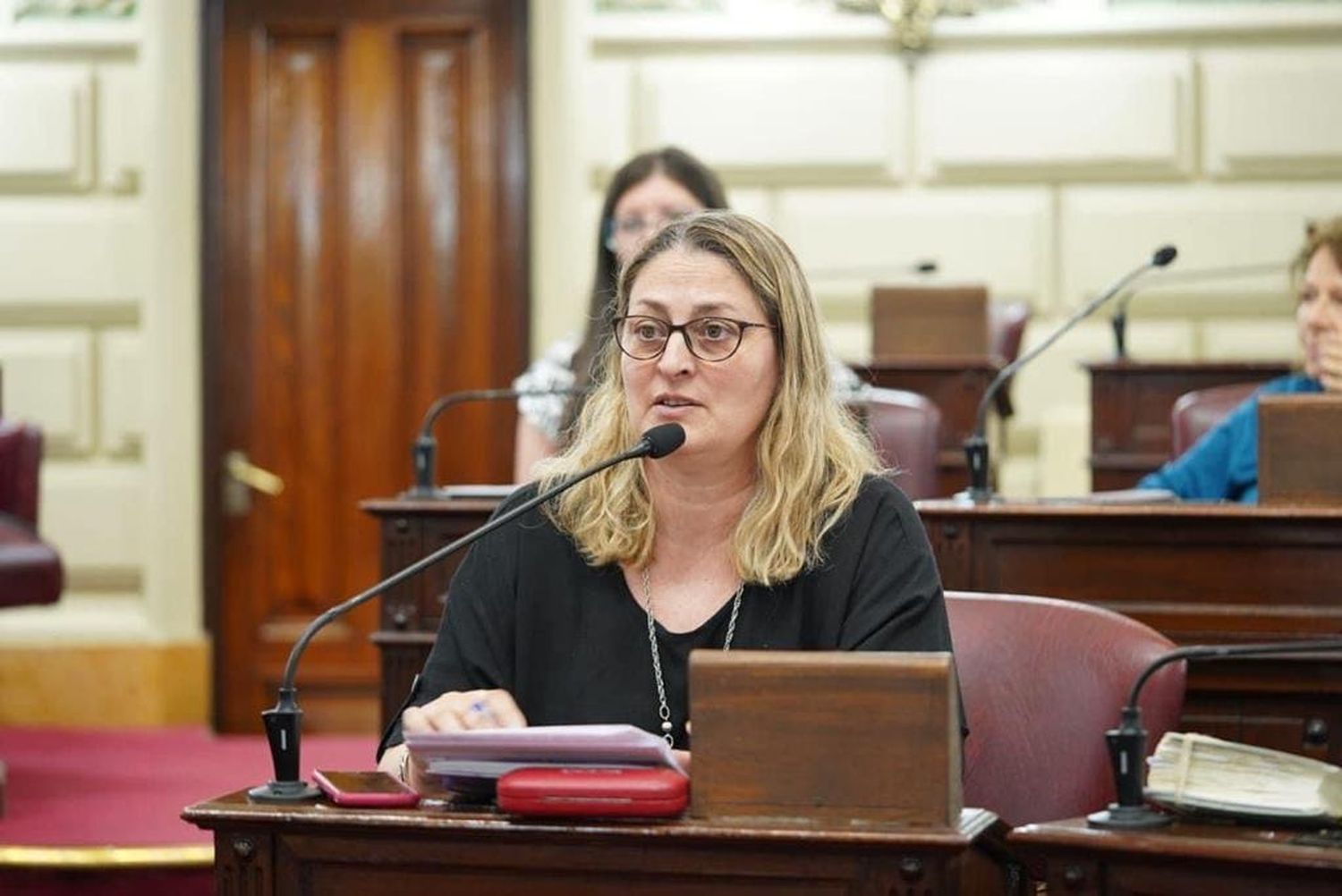 La doctora Silvia Ciancio viene trabajando en el armado de los equipos de salud pública desde hace tiempo junto al gobernador electo