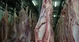 La faena vacuna cayó 6,5% en los primeros nueve meses del año