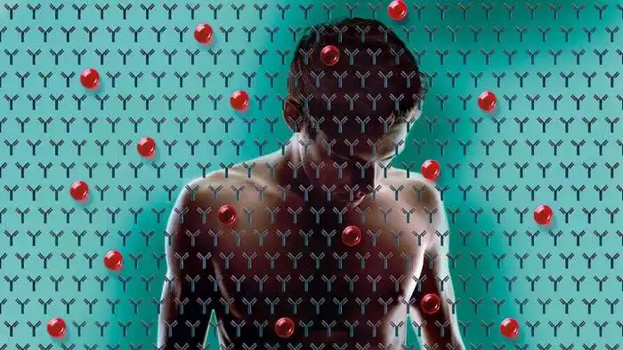 COVID-19: Sí, los anticuerpos permanecen hasta  5 meses y son protectores