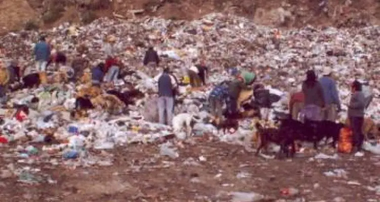 El Municipio deberá pagar medio millón de pesos al dueño del campo
