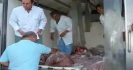 Se secuestraron más de 1000 kilos de carne comercializada ilegalmente