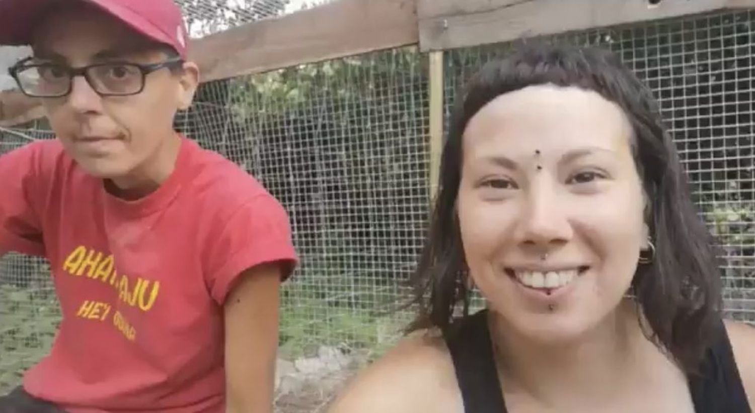 Activistas veganos separaron a los gallos de las gallinas para evitar que las violen