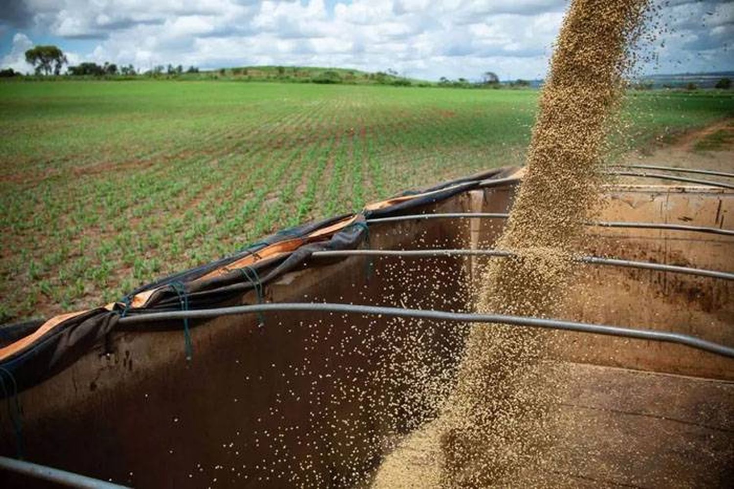 Agricultores entrerrianos se sumaron al programa de compensaciones para maíz y soja