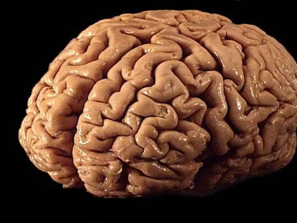 Según el especialista, las personas tenemos entre 40 mil y 60 mil pensamientos diarios. Foto: Gentileza