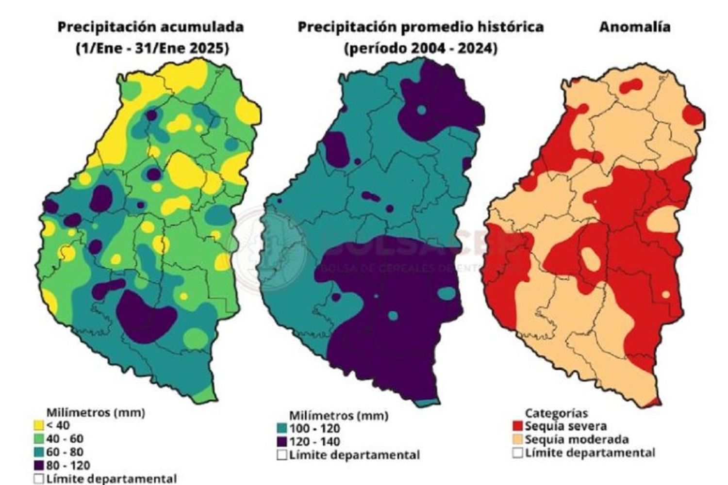 Déficit hídrico en Entre Ríos: enero registró lluvias un 56% por debajo del promedio histórico