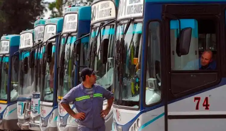 Paro en las líneas 501, 394, 306 y 245: Atacaron a un chofer e incendiaron dos colectivos