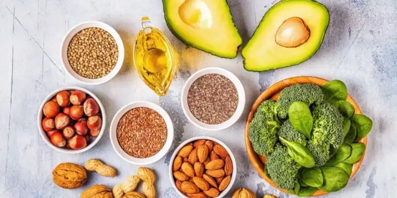 Aimentos ricos en fibra