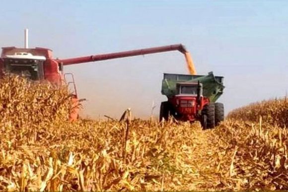 Las ventas diarias de soja continúan por encima del millón de toneladas