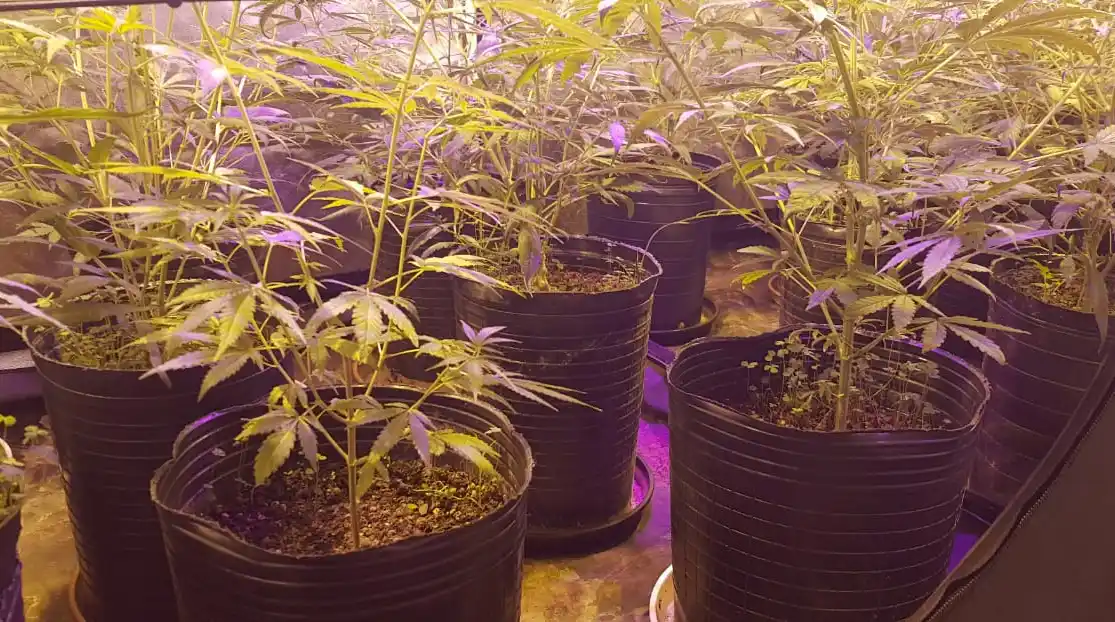 Lo que tenés que saber hoy