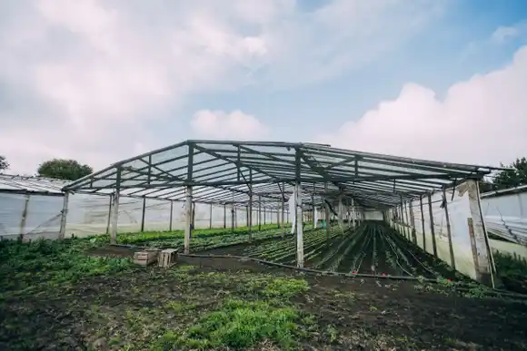 Banco de insumos para productores agropecuarios: destacan que impactará favorablemente en los precios