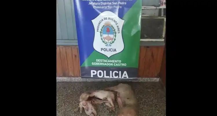 Cuidado