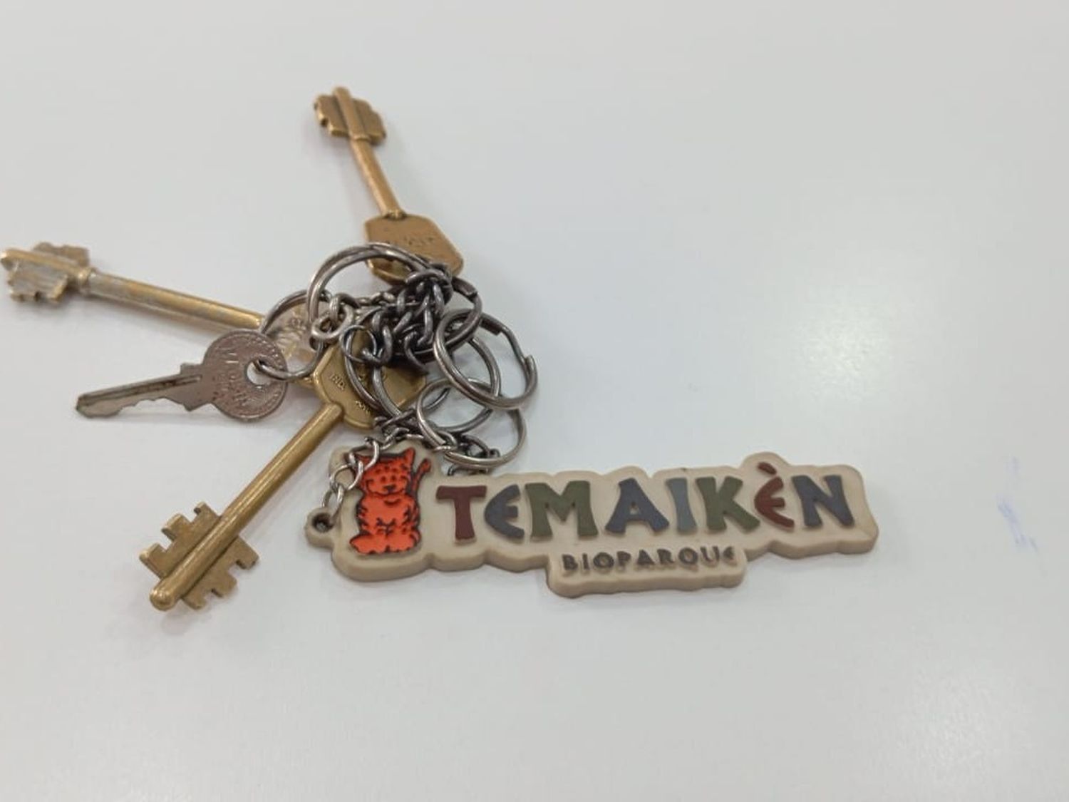 Hallaron llavero de Temaikèn