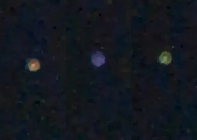 VIDEO | Filmaron un raro objeto luminoso y movedizo que irrumpió en el cielo nocturno de Vera