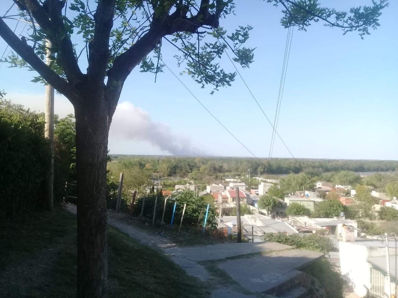 Ecocidio en islas: hay 62 focos activos en Lechiguanas