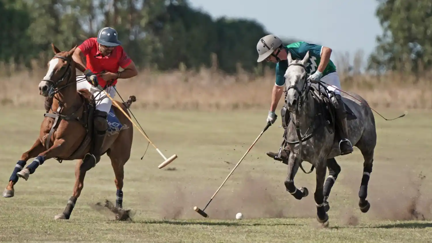 Torneo "Las Lechuzas" - Polo