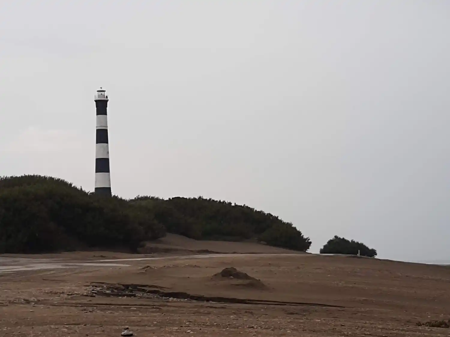Ya se puso en marcha el programa Playas Seguras