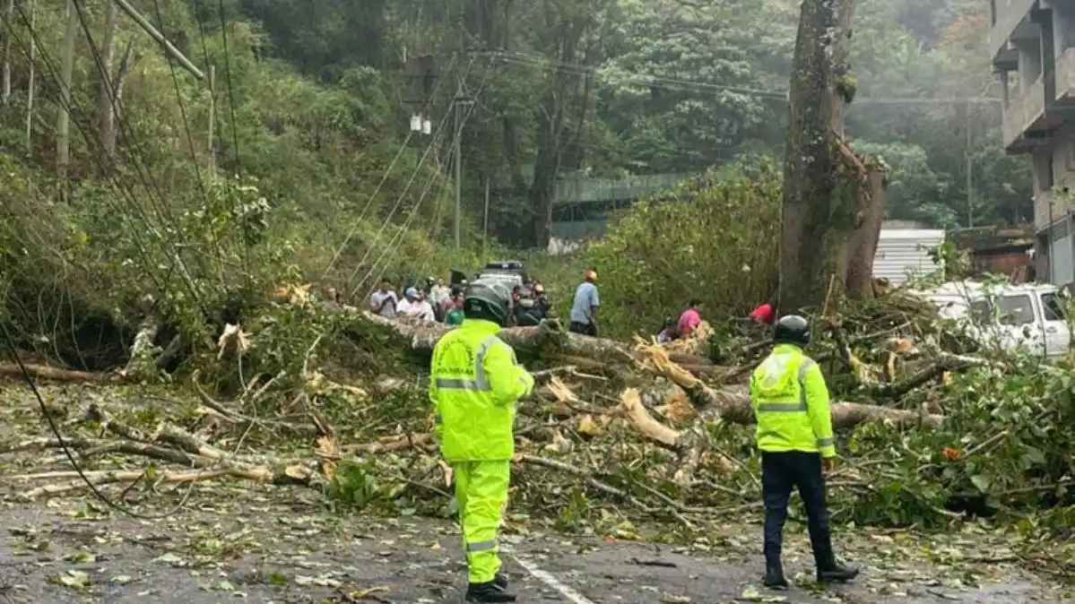 ¡SIN LUZ Y MUCHA LLUVIA! Fuertes precipitaciones colapsan vías y dejan sin electricidad sectores de Caracas este #8Feb