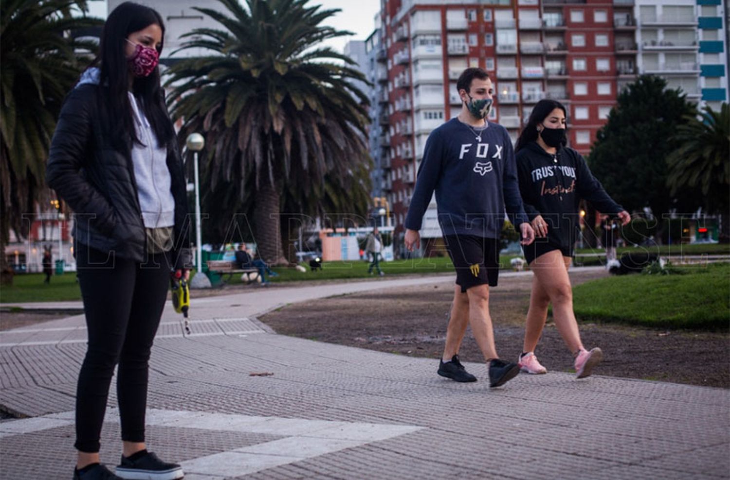 Estudian el nexo epidemiológico de cuatro positivos detectados este viernes