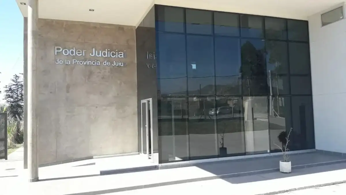 Jujuy: un hombre de 67 años murió tras ser atacado por un enjambre de avispas - 2