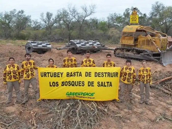 Greenpeace denunció brutal desmonte durante la cuarentena en la Argentina